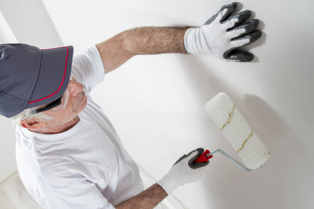 Best Mold Documentation for Insurance Claims  in Logan, WV