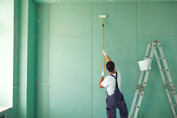 Best Attic Mold Removal  in Logan, WV