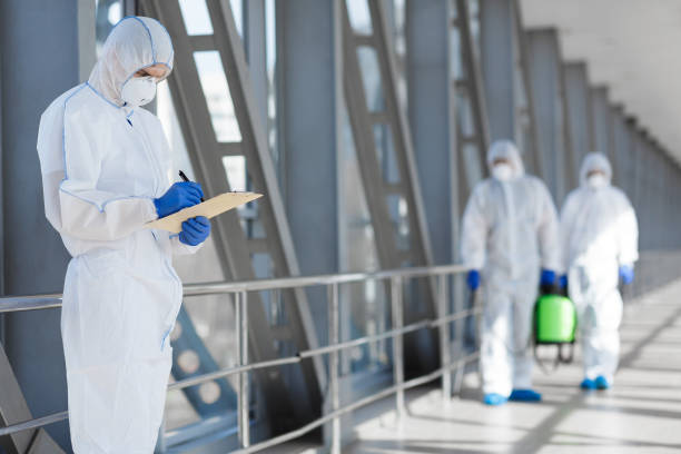 Best Mold Damage Restoration  in Logan, WV