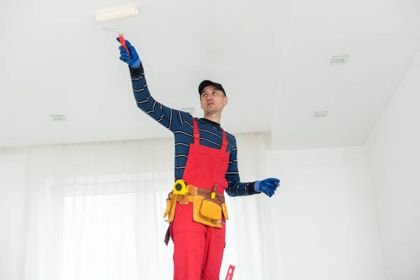 Best Real Estate Mold Inspection  in Logan, WV
